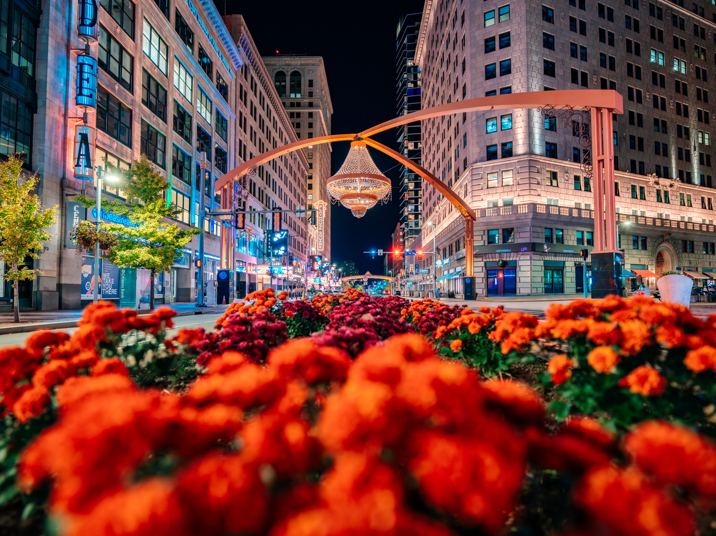 Night Flowers at Playhouse Square in Cleveland, Ohio