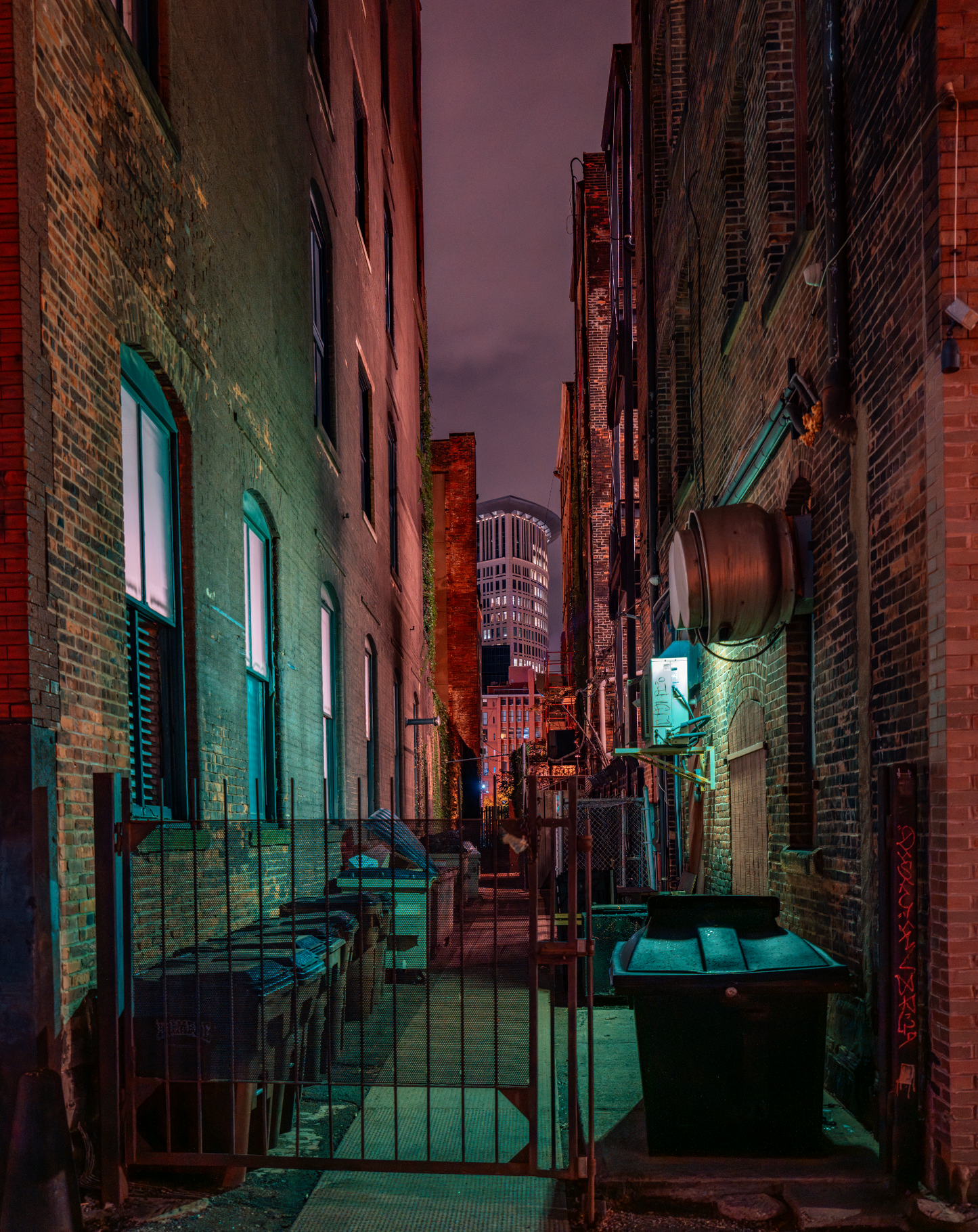 Downtown Alley Frames in Cleveland, Ohio