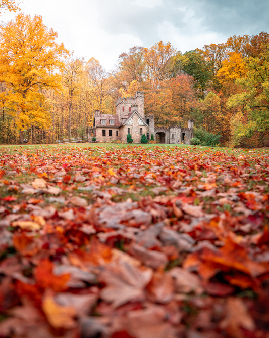 Fall Leaves at Squire's Castle in Cleveland, Ohio
