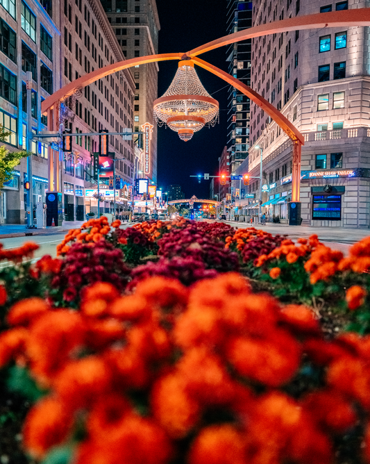Night Flowers at Playhouse Square in Cleveland, Ohio